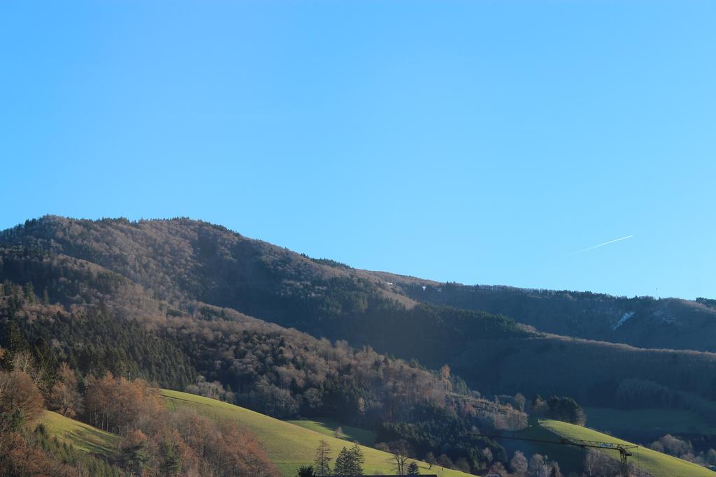 Hotel Gasthaus Zur Linde Glottertal Exteriér fotografie